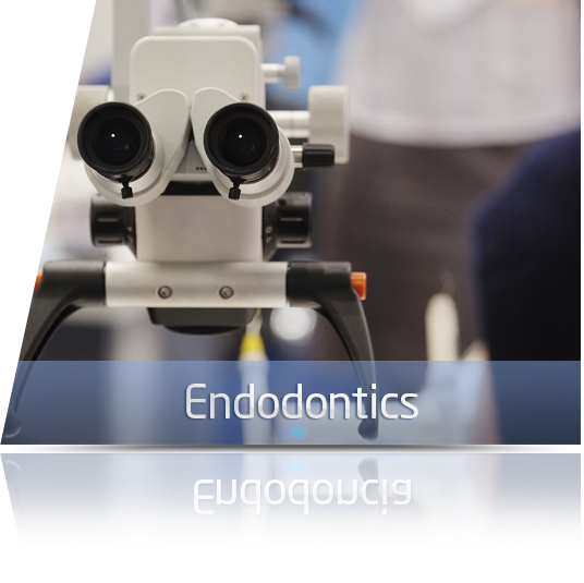 servicio endodoncia en